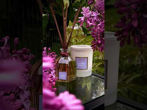 Дифузор для дому Blue Lilac (Блакитний бузок) аромадифузор Collines de Provence, 100 мл - фото 1 - id-p2149070360