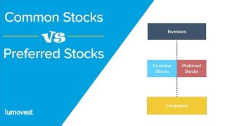 Common Stocks vs Preferred Stocks | Similarities and Differences