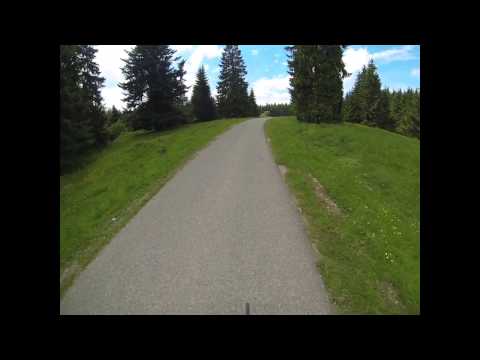 Up in the "Franche Montagne". La Suisse.