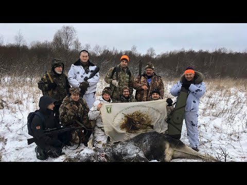 Загонная охота на лося | Декабрь 2018 | Русская глубинка