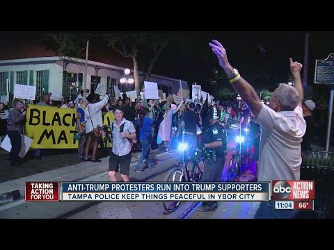 Anti-Trump protesters accidentally march into Marine Corps pub crawl and things escalated quickly