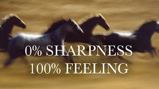 Why the Sharpest Photos Are Often the Most Boring
