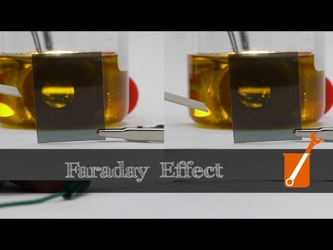 Control light with magnets and olive oil?! (Faraday effect)