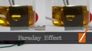 Control light with magnets and olive oil?! (Faraday effect)