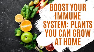 Boost Your Immune System: Plants You Can Grow at Home | Urban Garden Republic