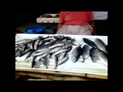 Herbalife pagbaba ng timbang sistema Mawalan ng Timbang sa Bormental NTV