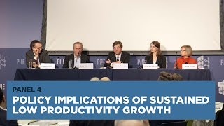 Policy Implications of Sustained Low Productivity Growth: Panel 4