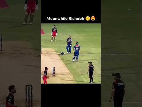 Last one crazy celebration 🍎 #shorts #viral #rishabhpant #travishead #viratkohli