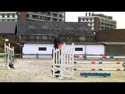 Vanille de sarty - Mathieu Godart - 115 cm