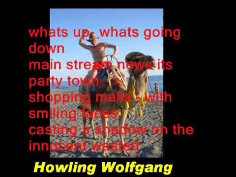 Howling Wolfgang - The Pigs In Zen - Producer of Amped Vamps, Abrasive Sex Toys, Smashing Guitars