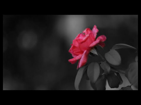 Kinky Bwoy - Vete de Mi Vida ft. Mateo Castro (Prod. Sundaypanic)