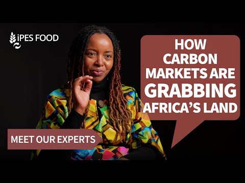 GREEN GRABS: How carbon markets grab Africa's land & squeeze farmers | IPES-Food’s Susan Chomba