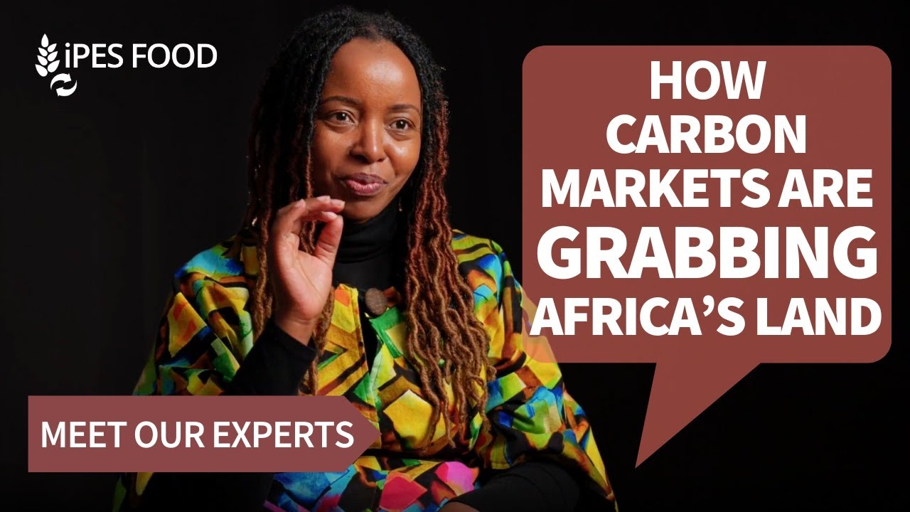GREEN GRABS: How carbon markets grab Africa's land & squeeze farmers | IPES-Food’s Susan Chomba