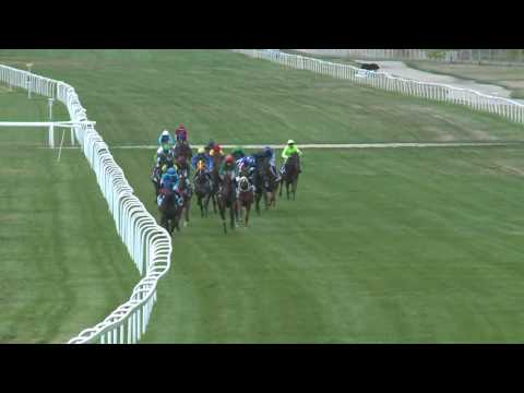 2017.08.06. 6. futam - PATIENCE DÍJ (III.kat.)