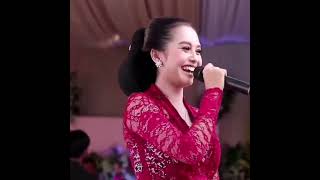 Download Lagu Gratis