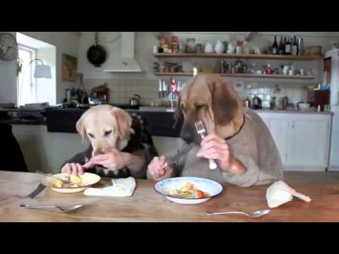 പതിനെട്ടു മില്യണ്‍ പേര്‍ കണ്ട വീഡിയോ!