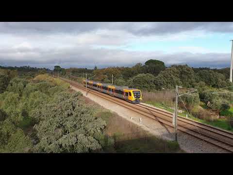 Comboio Especial n.º 92208 - Vila Nova