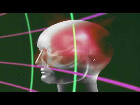 ZAO - Ship Of Theseus (Official Video)