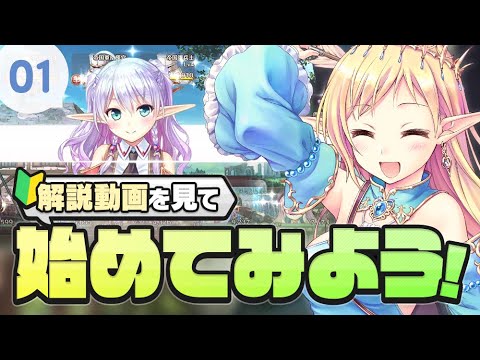 ミスティセティについて詳しく解説