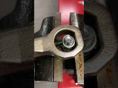 VIDEO    - Cortatuercas