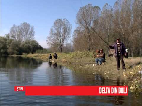 Delta din Dolj