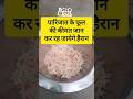 Parijat Flowers Value #youtubeshorts