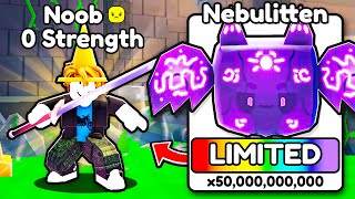 I Went From Noob to PRO with OP PETS in Roblox Pull a Sword!