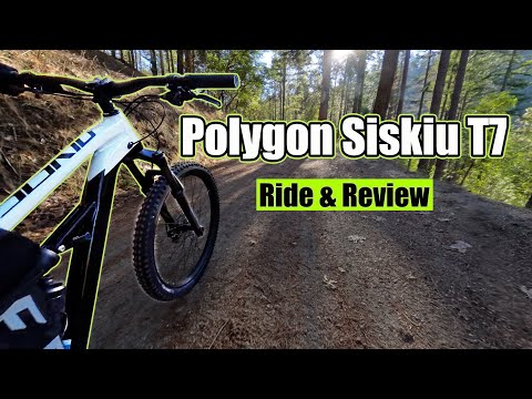 The Game-Changing Budget Mountain Bike