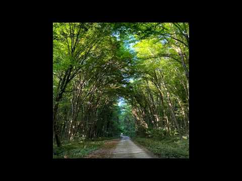 Pavel Lopatin - In the garden (Single)