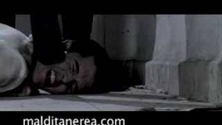 Maldita Nerea &amp; Los Delinqüentes El secreto de las tortugas