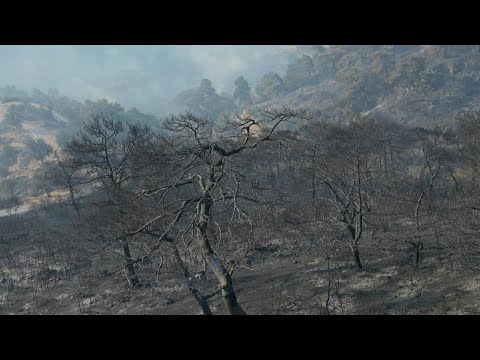 Smoke billows amid devastating forest fires in Turkey | AFP