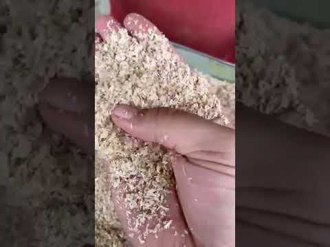 Coarse wheat bran simran agro, 50 kg