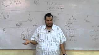 Internal Medicine - Dr Allam | Thalasemia | AllTebFamily.com