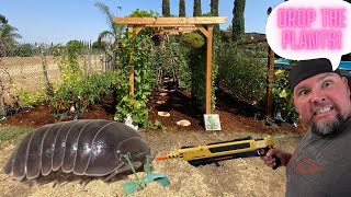 How to Keep Pill Bugs (Rollie Pollie) from Eating you Plant Starts.