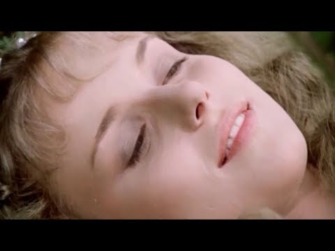 Na sedmém lánu (O šípkových růžích) - Jak se budí princezny 1977