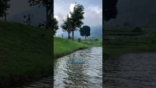 Download lagu Nasihat Gus Mus #shorts #katakatabijak #gusmus mp3 Download lagu Nasihat Gus Mus #shorts #katakatabijak #gusmus mp3