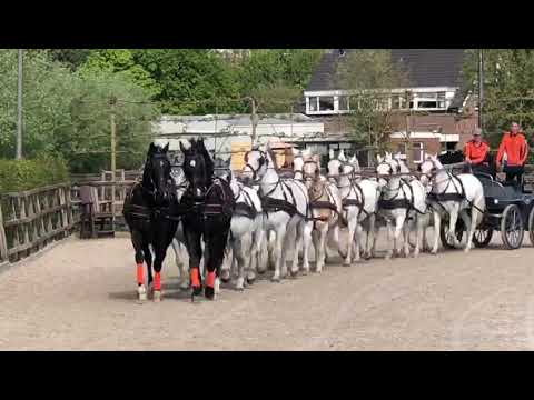 Bram Chardon 14-span!