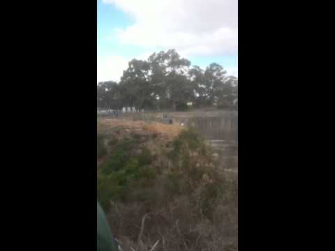 Diamoniques american national anthem down under