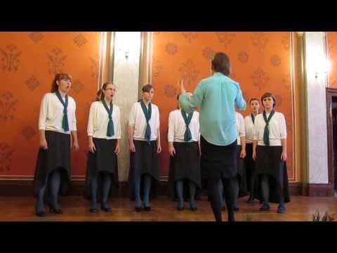 Słyszę z nieba muzykę Chór ProVobis
