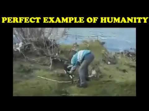 32 Perfect example of huminity save dog life