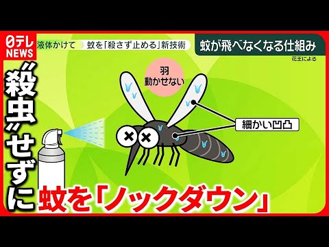 コーヒーかすが嫌いな昆虫は何ですか?忌避剤としてどのように使用しますか？  庭園