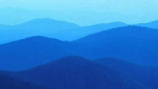 Pavlov&#39;s Dog - Episode