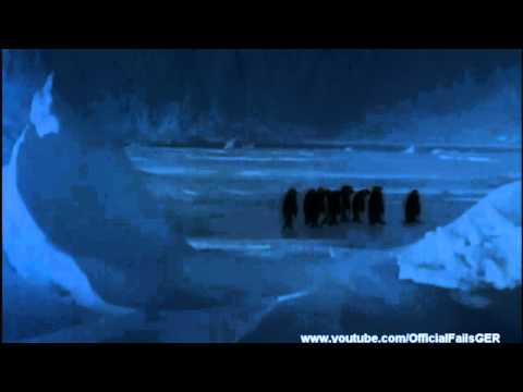 EPIC PENGUIN FAIL!!!!