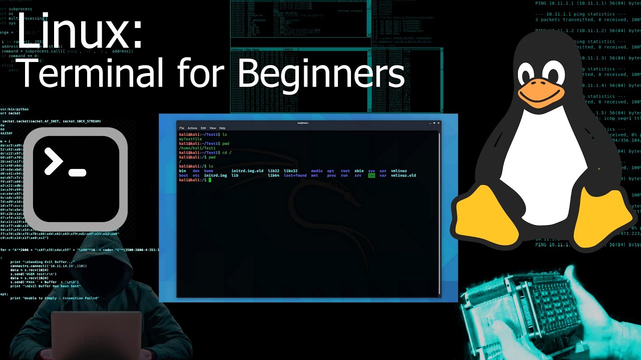 Kali Linux Terminal / Command Line for Beginners (Tutorial)