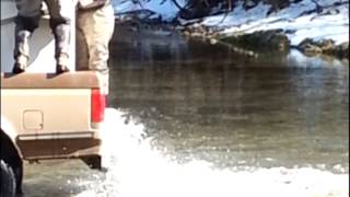 preview picture of video 'Releasing/Stocking Rainbow Trout at Rockbridge MO'