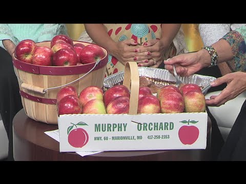 Applefest Marionville Mo