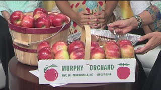 Marionville AppleFest - 9/18/18