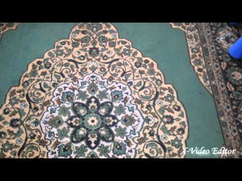 Маленькая собачка катает воздушный шарик