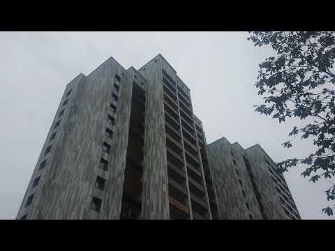 OSDORF (Born,Bornpark,EEZ,Loki Schmidt Garten)