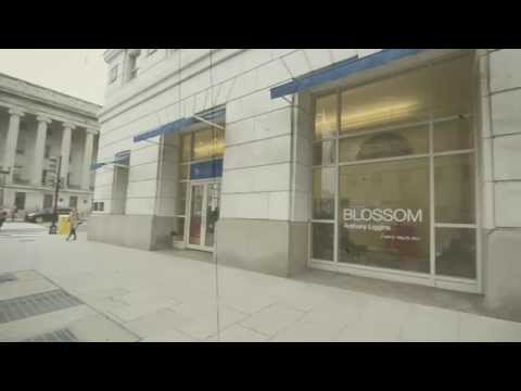 Artist Anthony Liggins on abstract painting and color